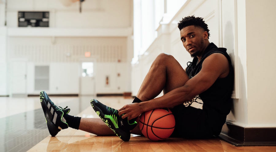 国家队主力二传加盟！剑指冠军！（国家队核心二传官宣加盟，直指冠军！）